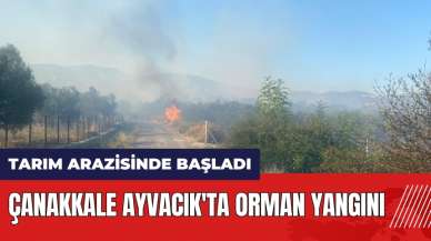 Çanakkale Ayvacık'ta orman yangını