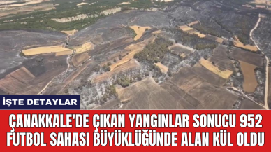 Çanakkale'de çıkan yangınlar sonucu 952 futbol sahası büyüklüğünde alan kül oldu