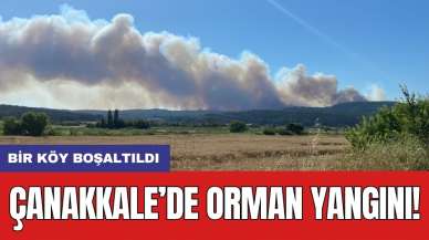 Çanakkale’de orman yangını: Bir köy boşaltıldı