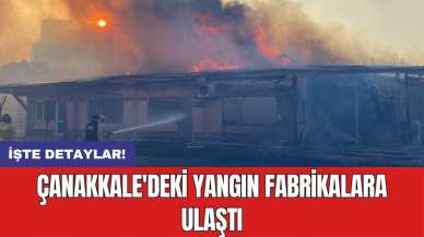 Çanakkale'deki yangın fabrikalara ulaştı