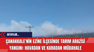 Çanakkale'nin Ezine İlçesinde Tarım Arazisi Yangını: Havadan ve Karadan Müdahale