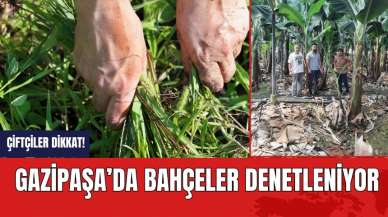 Çiftçiler dikkat! Gazipaşa'da bahçeler denetleniyor