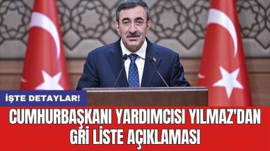 Cumhurbaşkanı Yardımcısı Yılmaz'dan gri liste açıklaması