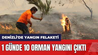 Denizli'de yangın felaketi! 1 günde 10 orman yangını çıktı