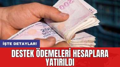 Destek ödemeleri hesaplara yatırıldı