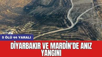 Diyarbakır ve Mardin'de anız yangını: 5 ölü 44 yaralı