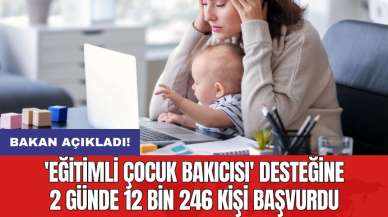 'Eğitimli çocuk bakıcısı' desteğine 2 günde 12 bin 246 kişi başvurdu