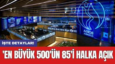 'En büyük 500'ün 85'i halka açık