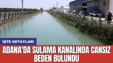 Adana'da sulama kanalında cansız beden bulundu