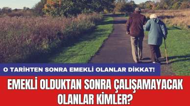 Emekli olduktan sonra çalışamayacak olanlar kimler?