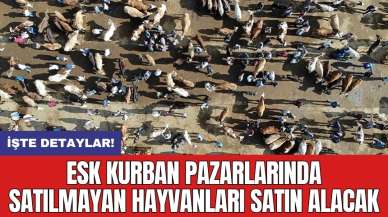 ESK Kurban Pazarlarında Satılmayan Hayvanları Satın Alacak