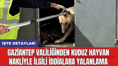 Gaziantep Valiliği'nden kuduz hayvan nakliyle ilgili iddialara yalanlama