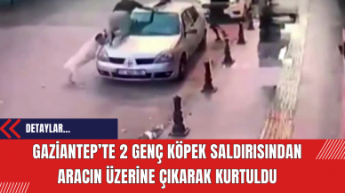 Gaziantep’te 2 genç köpek saldırısından aracın üzerine çıkarak kurtuldu