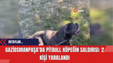 Gaziosmanpaşa’da Pitbull Köpeğin Saldırısı: 2 Kişi Yaralandı