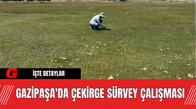 Gazipaşa'da Çekirge Sürvey Çalışması