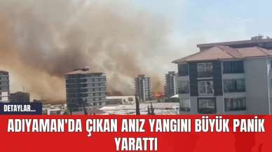 Adıyaman'da Çıkan Anız Yangını Büyük Panik Yarattı