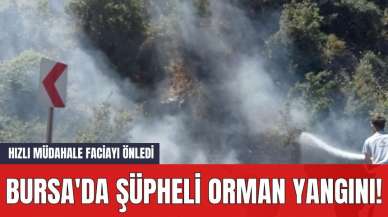 Bursa'da Şüpheli Orman Yangını! Hızlı Müdahale Faciayı Önledi