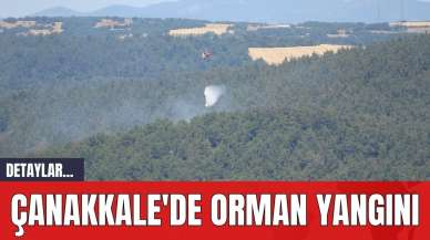 Çanakkale'de Orman Yangını