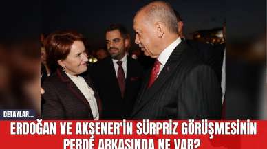 Erdoğan ve Akşener'in Sürpriz Görüşmesinin Perde Arkasında Ne Var?