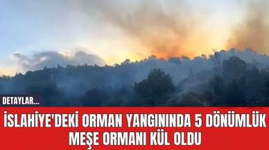 İslahiye'deki Orman Yangınında 5 Dönümlük Meşe Ormanı Kül Oldu