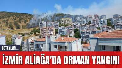 İzmir Aliağa'da Orman Yangını