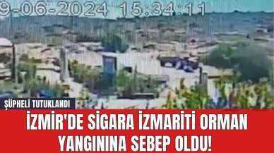 İzmir'de Sigara İzmariti Orman Yangınına Sebep Oldu! Şüpheli Tutuklandı