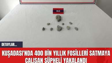 Kuşadası'nda 400 Bin Yıllık Fosilleri Satmaya Çalışan Şüpheli Yakalandı