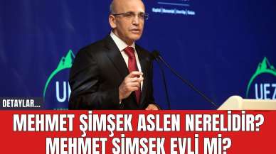 Mehmet Şimşek Aslen Nerelidir? Mehmet Şimşek Evli mi?