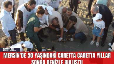 Mersin'de 50 yaşındaki Caretta Caretta Yıllar Sonra Denizle Buluştu