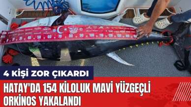 Hatay'da 154 kiloluk mavi yüzgeçli orkinos yakalandı