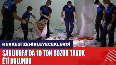 Herkesi zehirleyeceklerdi! Şanlıurfa'da 10 ton bozuk tavuk eti bulundu