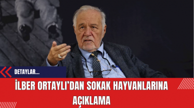 İlber Ortaylı’dan sokak hayvanları için açıklama