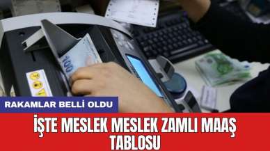 İşte meslek meslek zamlı maaş tablosu: Rakamlar belli oldu