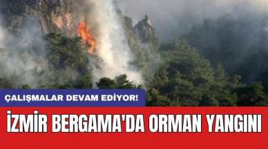 İzmir Bergama'da orman yangını