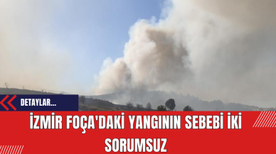 İzmir Foça'daki yangının sebebi iki sorumsuz