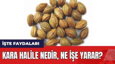 Kara Halile nedir ne işe yarar?