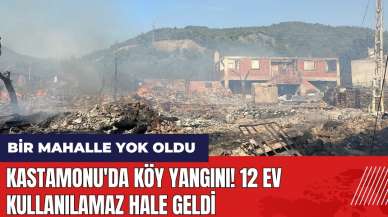 Kastamonu'da köy yangını! 12 ev kullanılamaz hale geldi