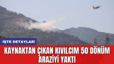 Kaynaktan çıkan kıvılcım 50 dönüm araziyi yaktı