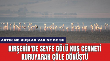 Kırşehir'de Seyfe Gölü Kuş Cenneti kuruyarak çöle dönüştü