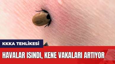 KKKA tehlikesi! Havalar ısındı kene vakaları artıyor