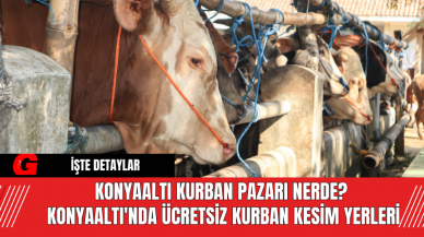 Konyaaltı Kurban Pazarı Nerde? Konyaaltı'nda Ücretsiz Kurban Kesim Yerleri