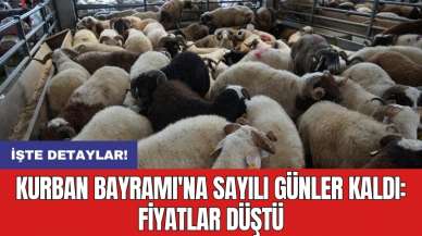 Kurban Bayramı'na sayılı günler kaldı: Fiyatlar düştü