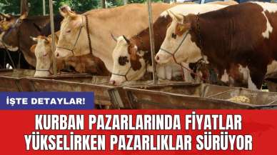 Kurban pazarlarında fiyatlar yükselirken pazarlıklar sürüyor