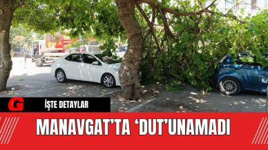 Manavgat’ta ‘Dut’unamadı