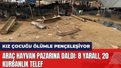 Mersin'de araç hayvan pazarına daldı! 8 yaralı, 20 kurbanlık telef