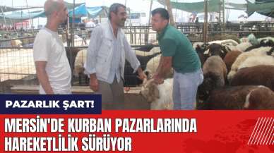 Mersin'de kurban pazarlarında hareketlilik sürüyor