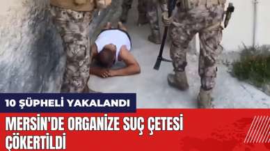 Mersin'de suç çetesi çökertildi