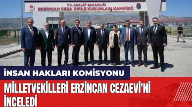 Milletvekilleri Erzincan Cezaevi'ni inceledi