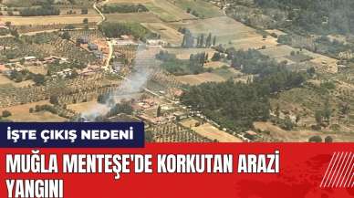 Muğla Menteşe'de korkutan arazi yangını