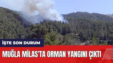 Muğla Milas'ta orman yangını çıktı